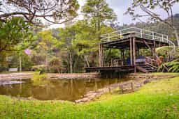 Fincas en Antioquia: alquiler turístico, descanso y eventos