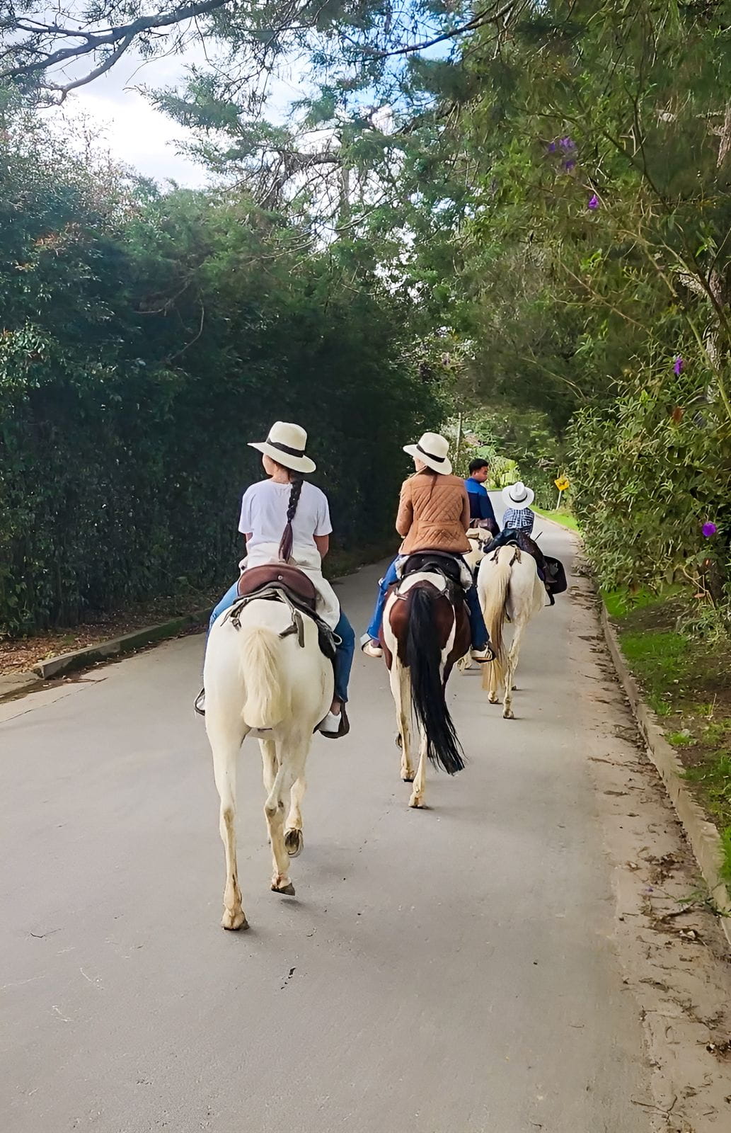 Paisaje de aventura en Antioquia, Colombia, con montañas y naturaleza